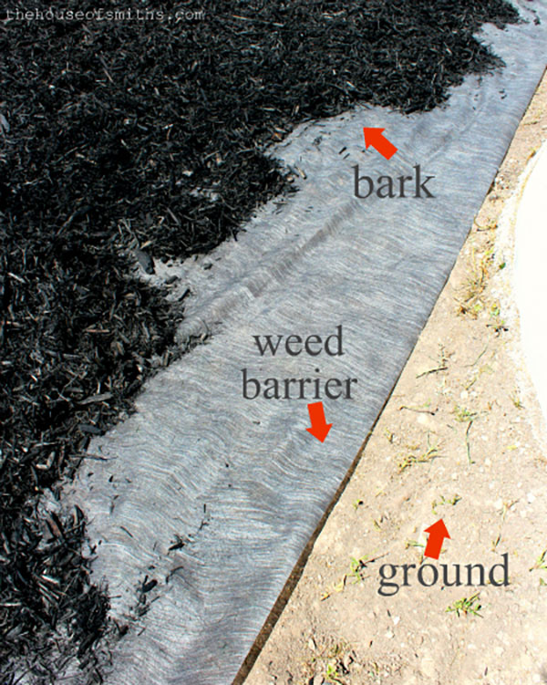 how-to-add-bark-to-your-flower-bed