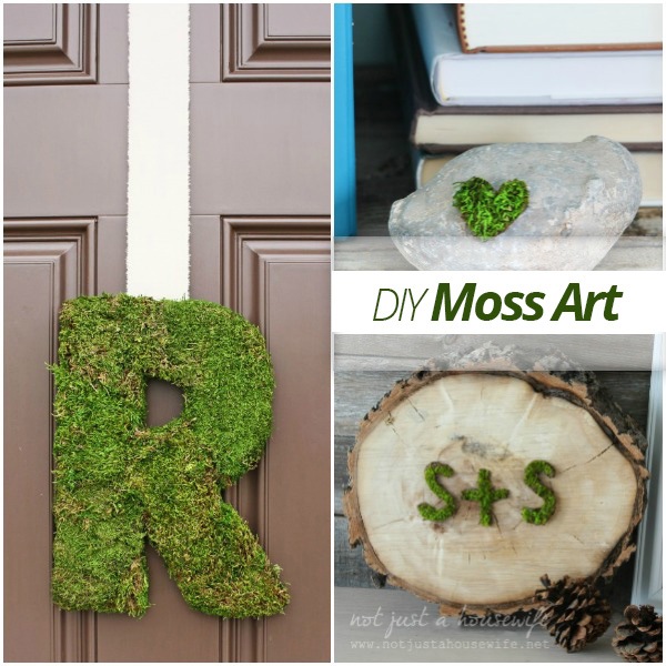 DIY Moss Art – Home Sweet Homes