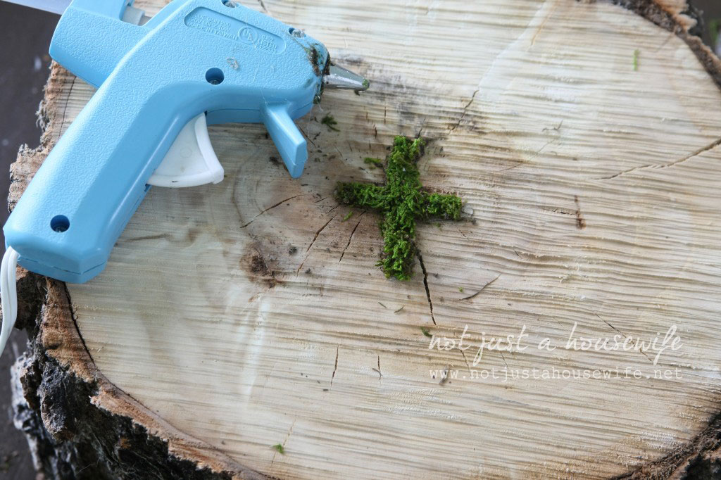 glue-on-moss