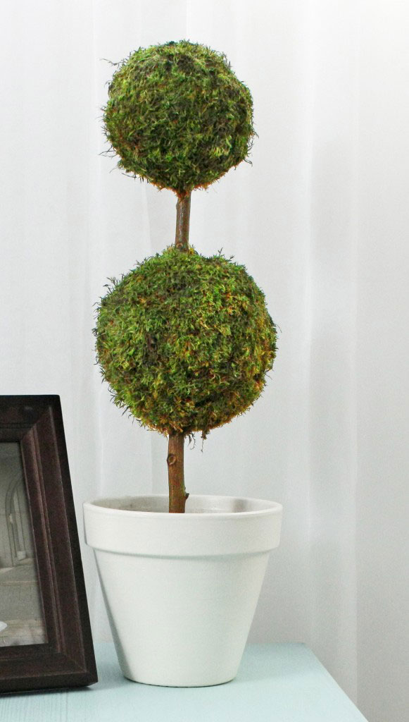 moss-topiary