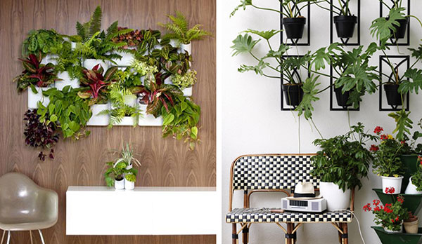 wall-plants