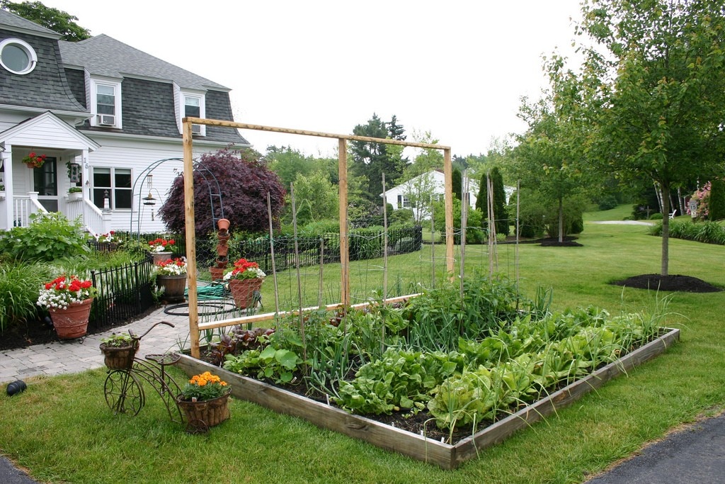 My Urban Vegetable Garden Layout - A Pretty Life In The Suburbs