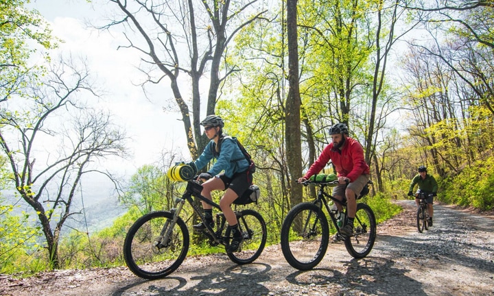East coast sales mountain biking