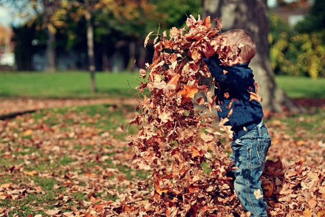 prepare for fall
