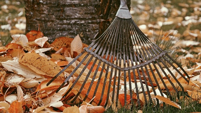 raking leaves into a pile