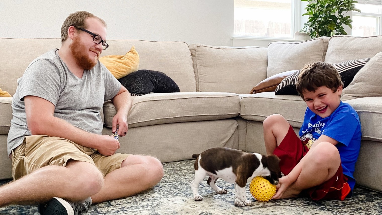 how long does it take for puppy to adjust to new home