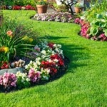 Summer flower garden