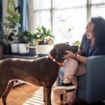 Woman playing with her dog in living room